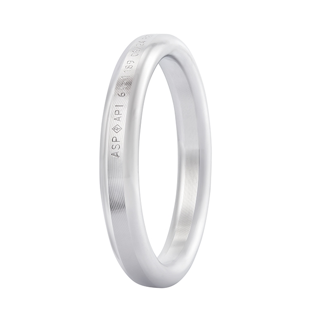 R Type Oval Ring Gasket